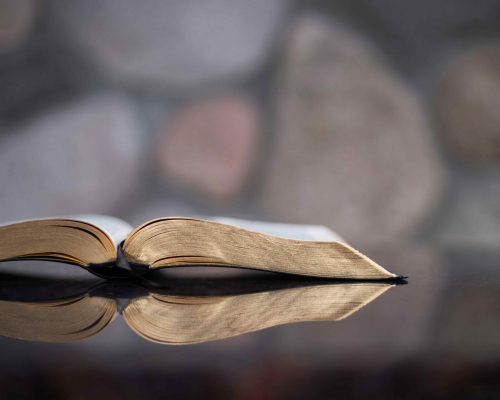 A Short Course in Reading Scripture