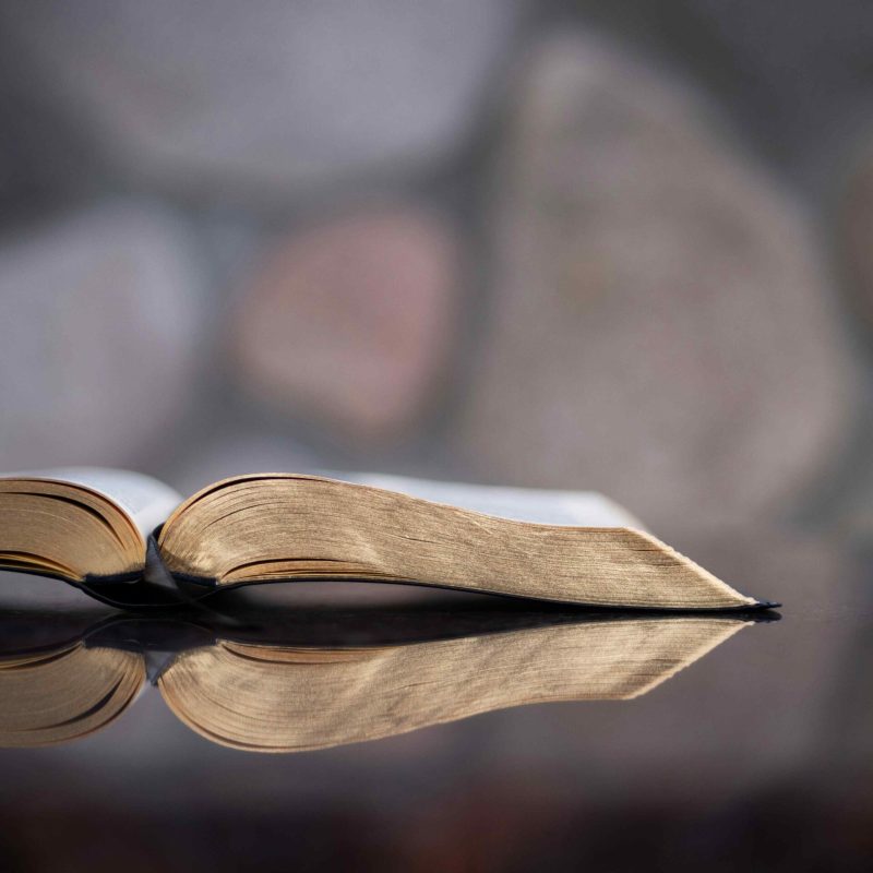 A Short Course in Reading Scripture