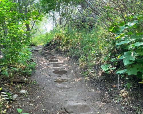 Love’s Plan: The Mystery of God’s Will